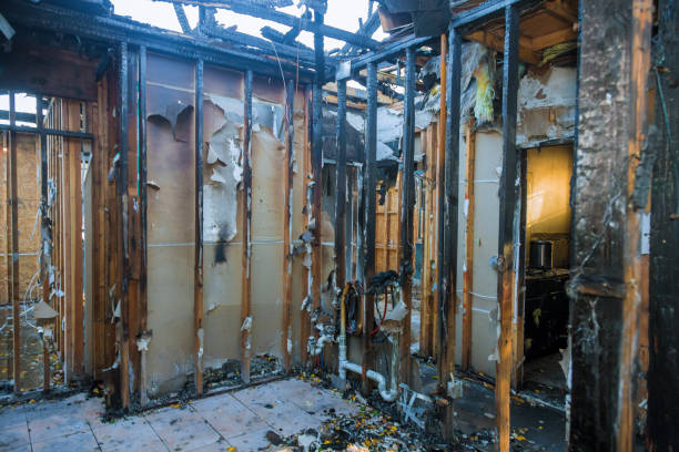Professional Smoke Damage Removal technician working in Trenton, FL