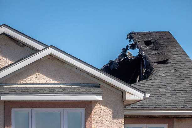 Top rated local Smoke Damage Removal specialists in Trenton, FL